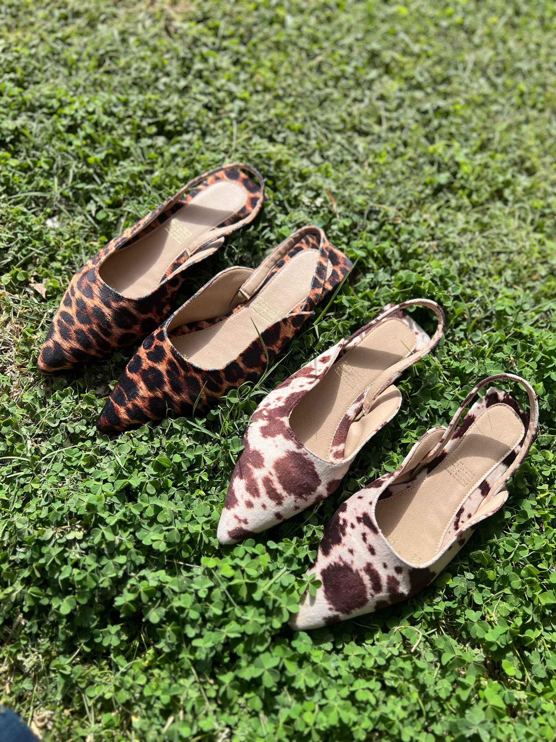 Flats animal print 030