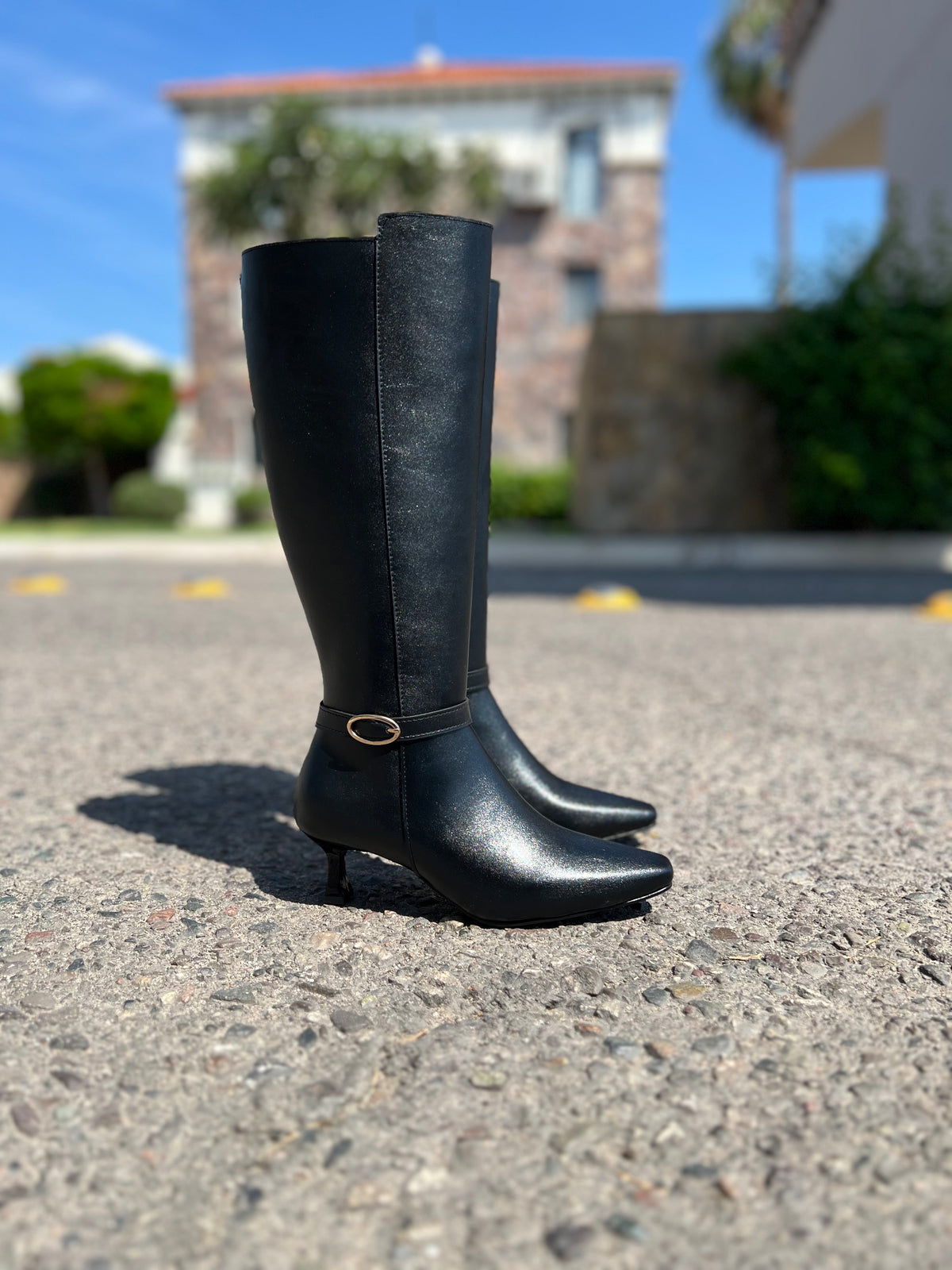 Bota tubo alto 6007