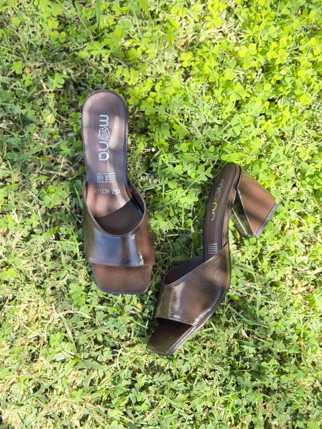 Zapatilla 251239