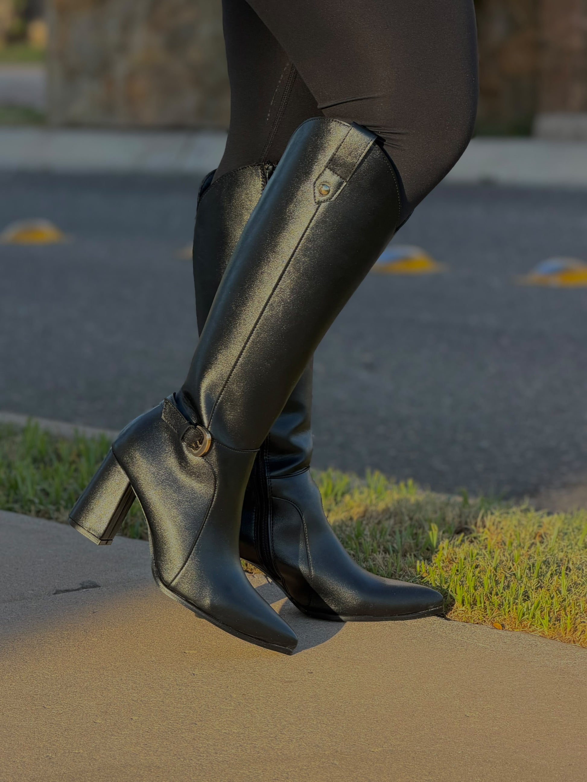 Bota alta 6022