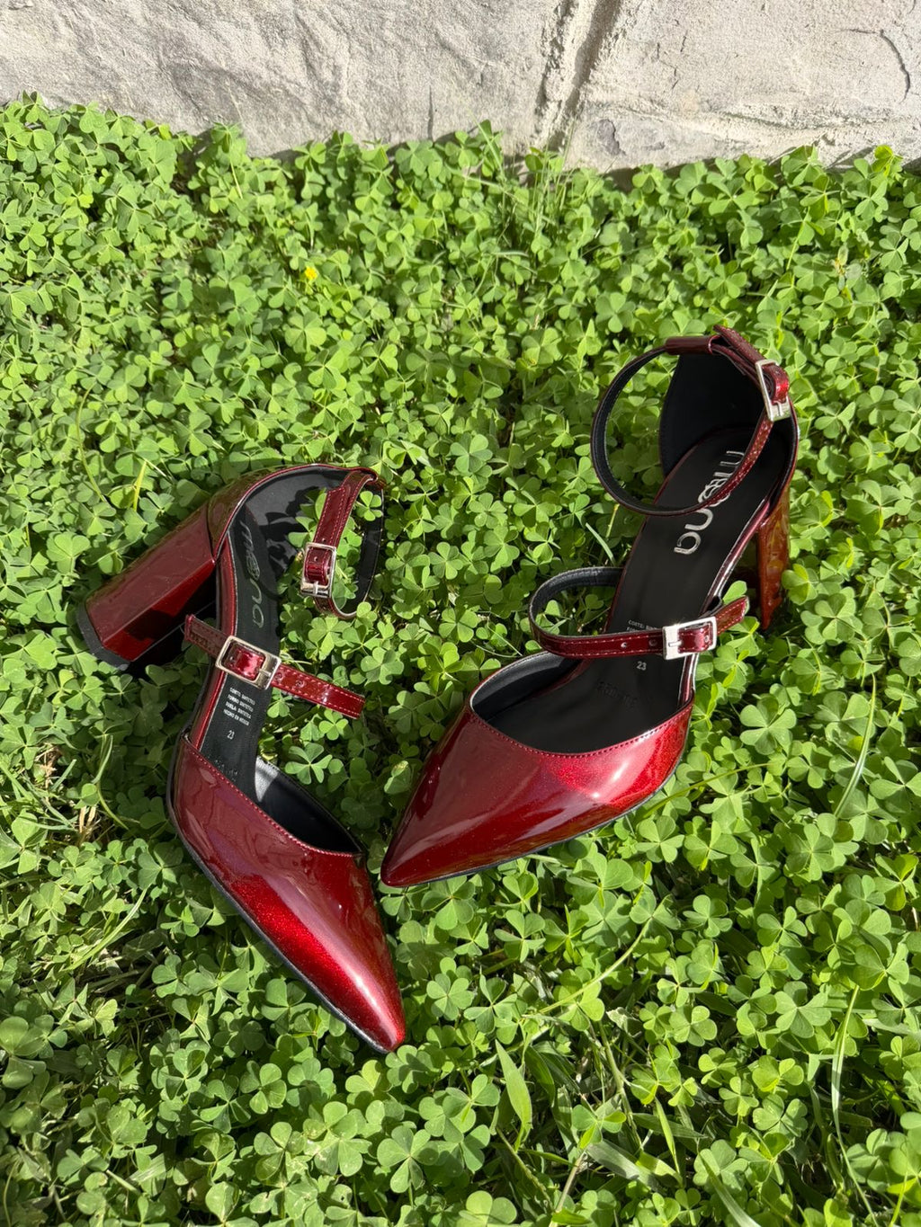 Zapatilla picuda 250402