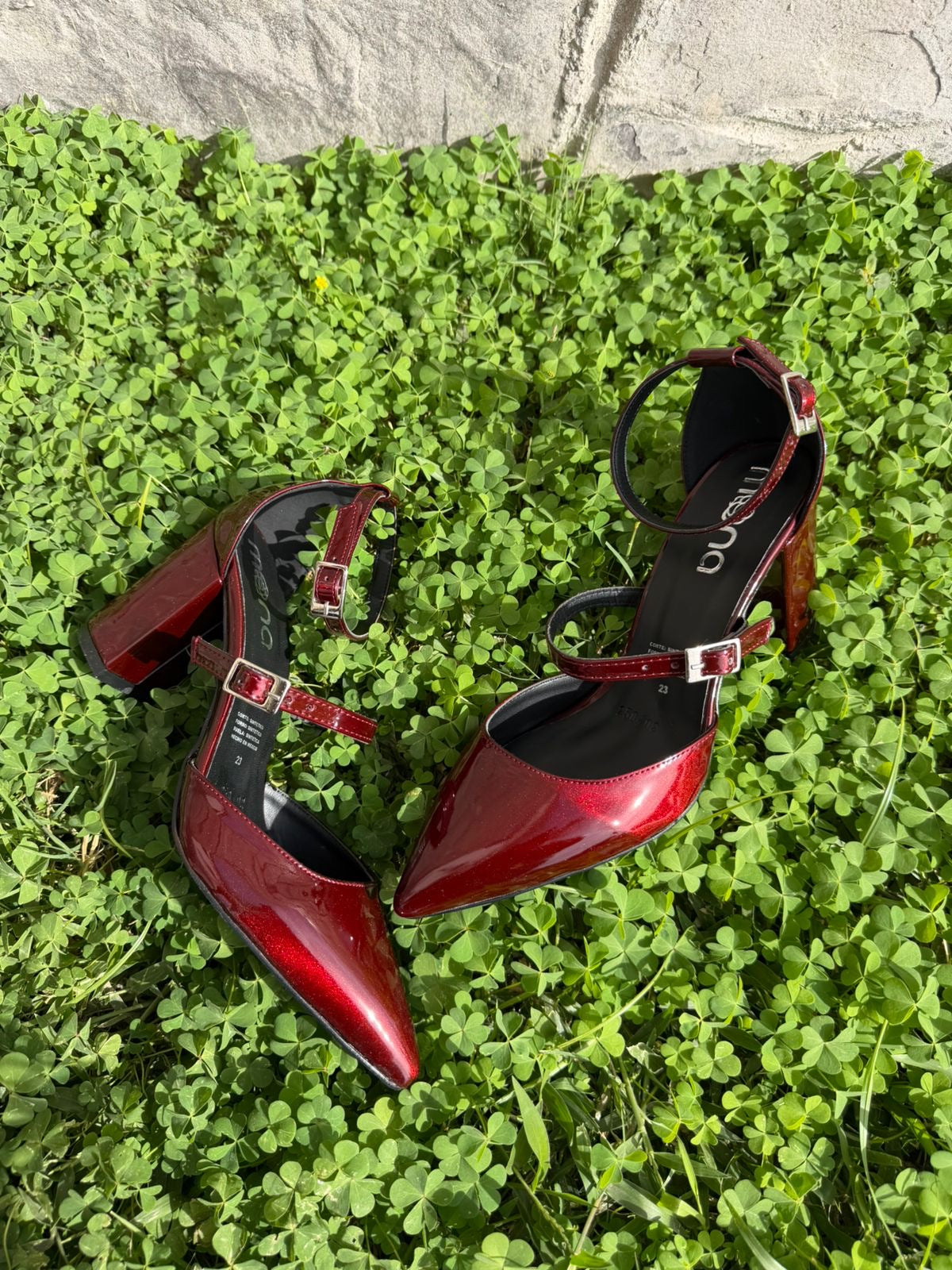 Zapatilla picuda 250402