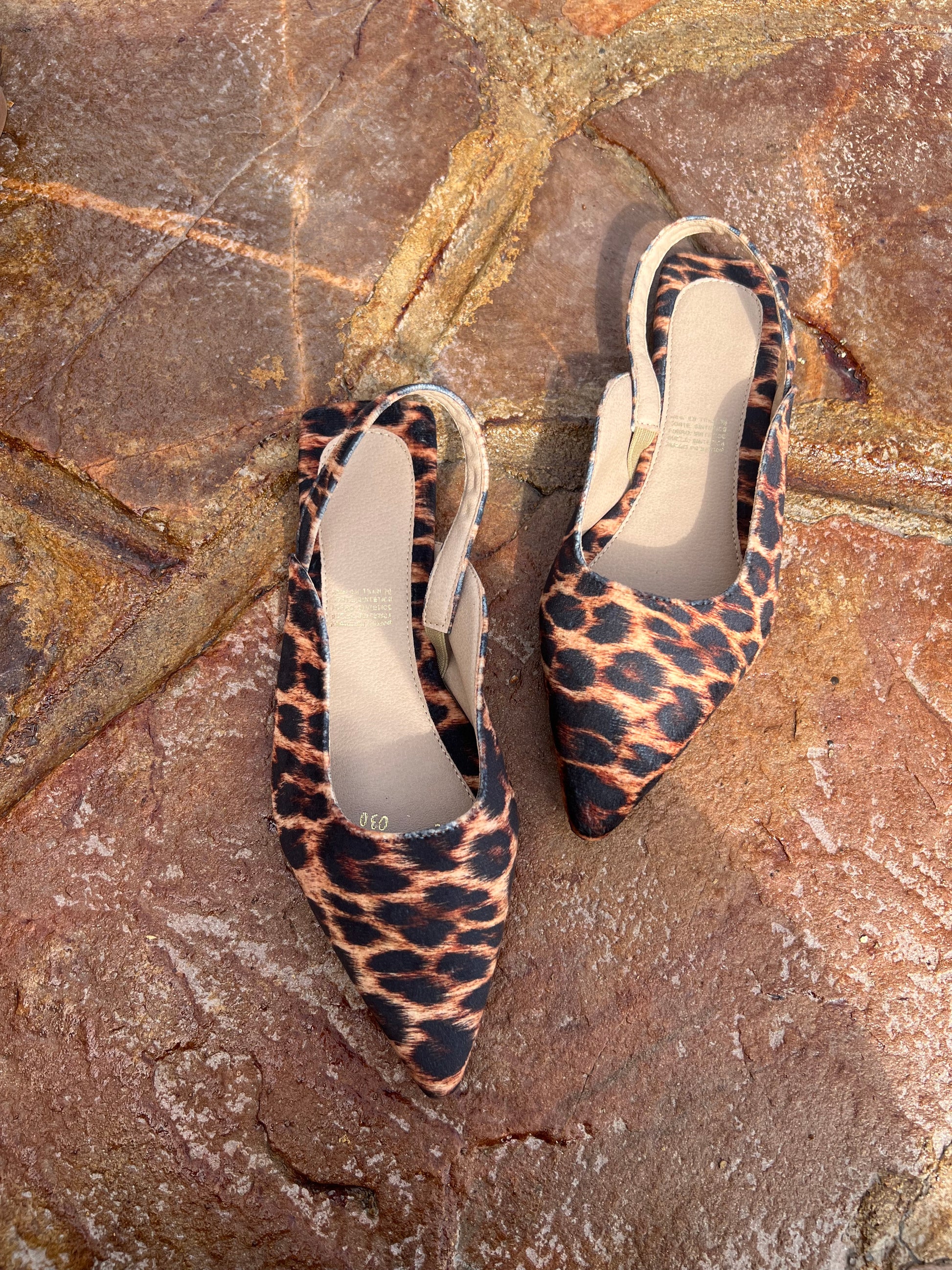 Flats animal print 030