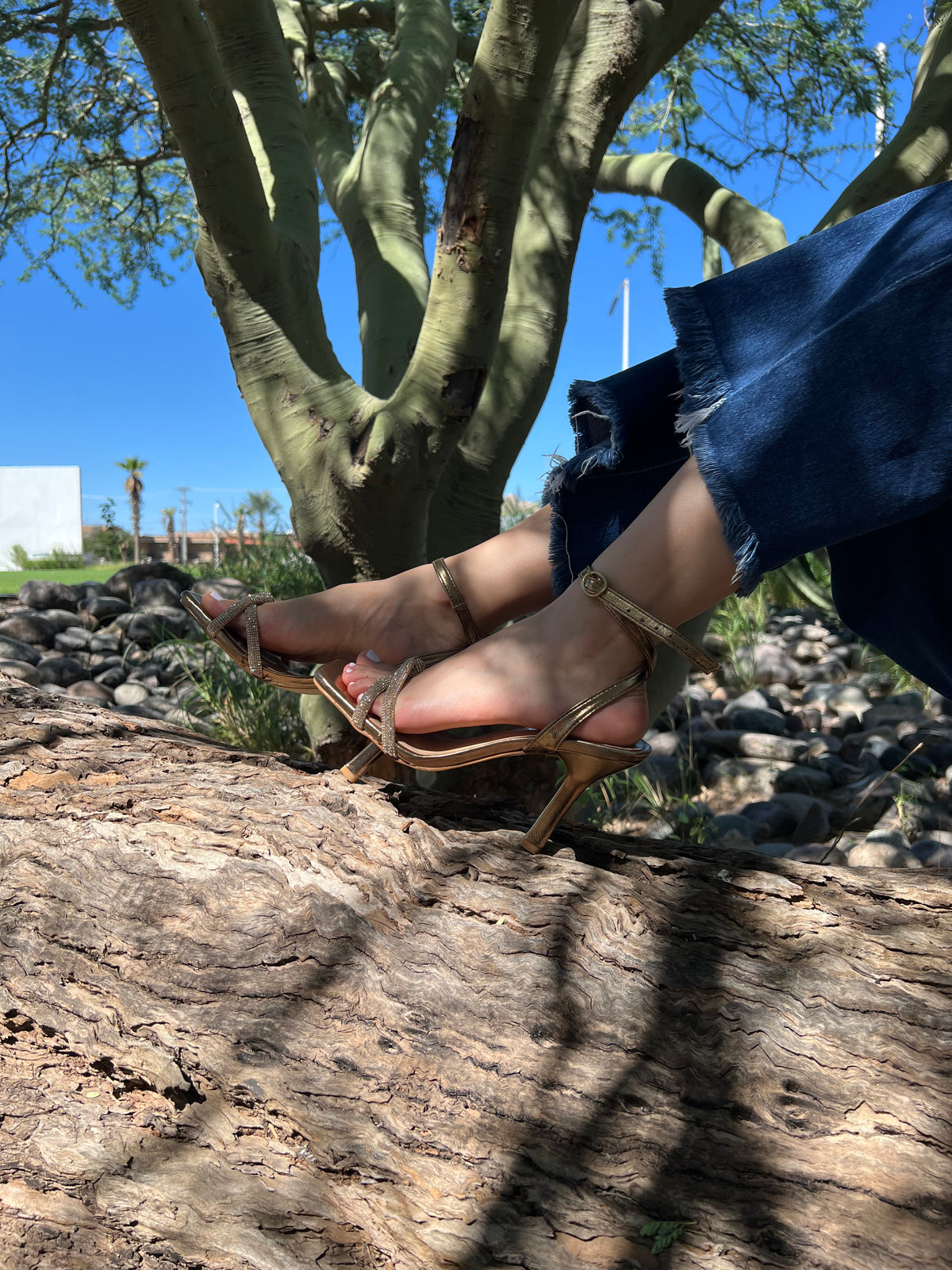 Zapatillas de piedras 262023