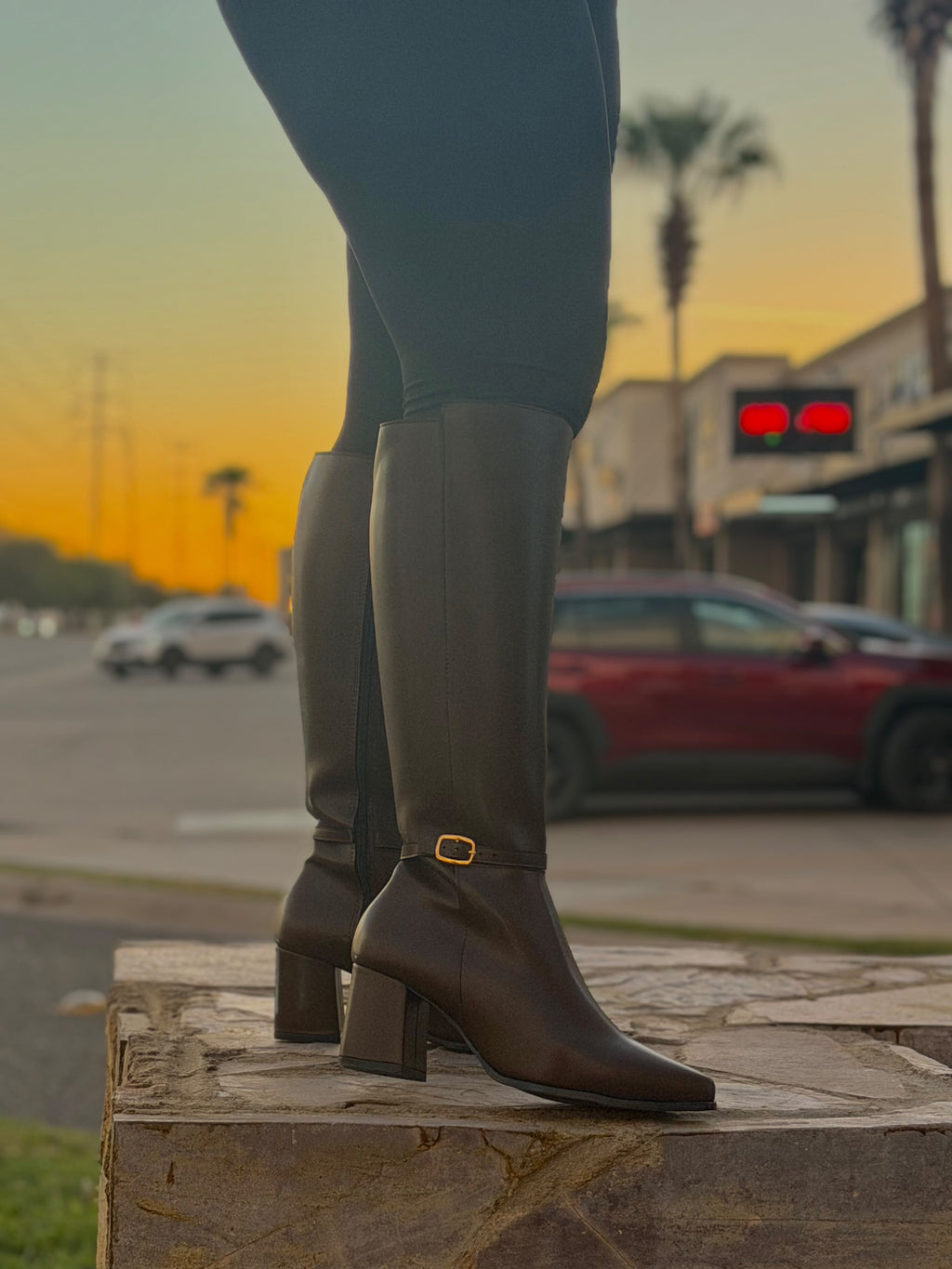 Bota tubo alto 4575