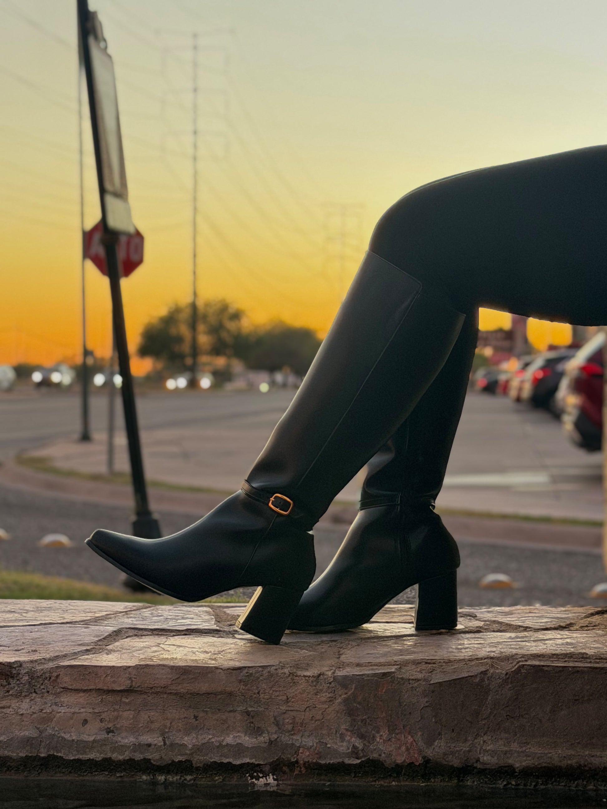 Bota tubo alto 4575