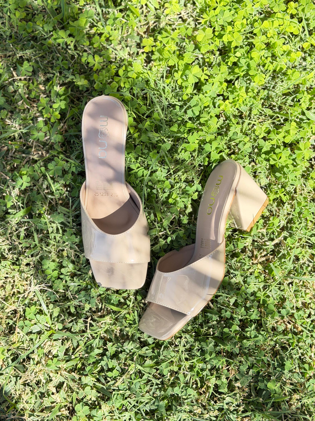 Zapatilla 251239