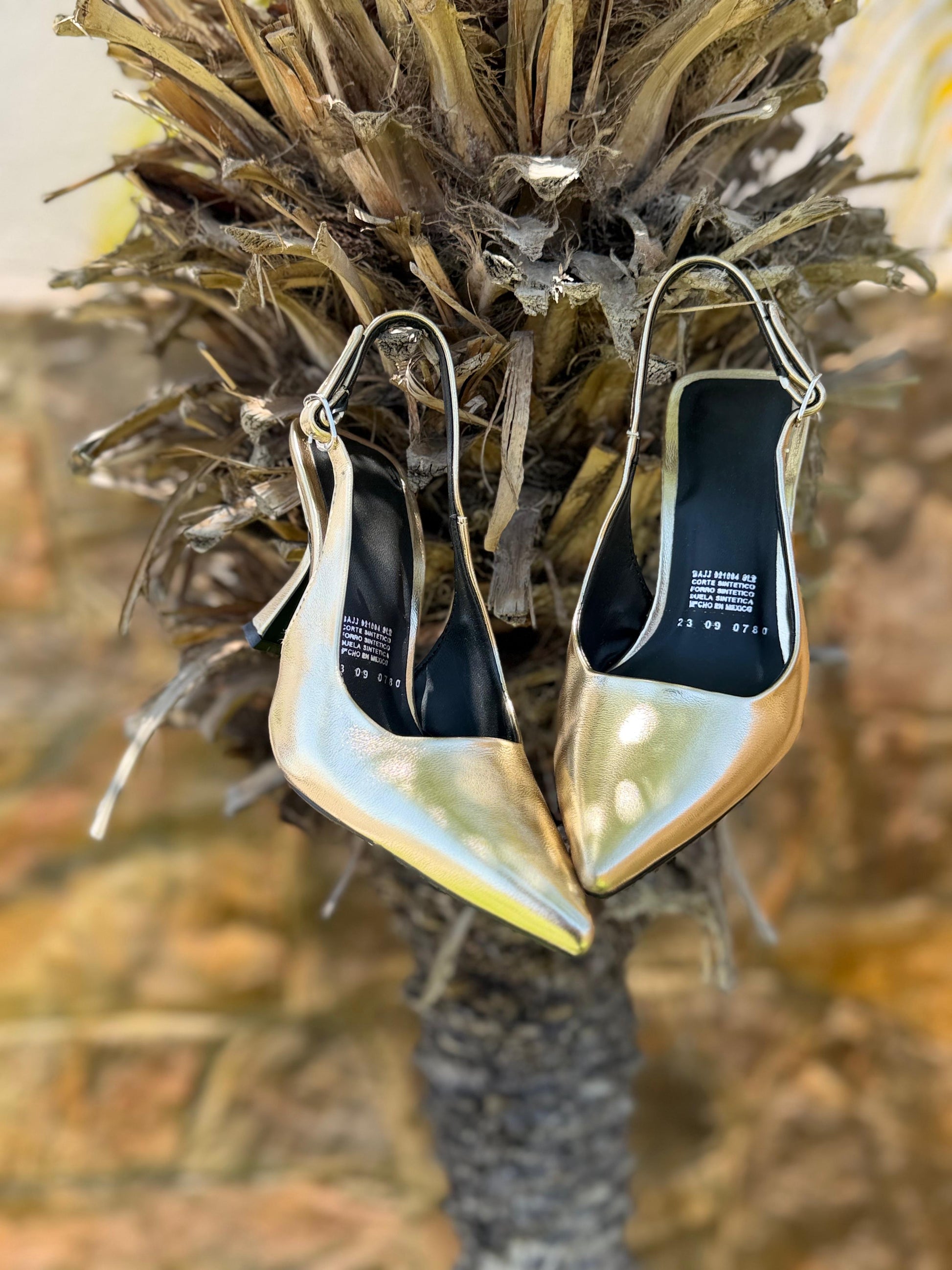 Zapatilla picuda 09 oro