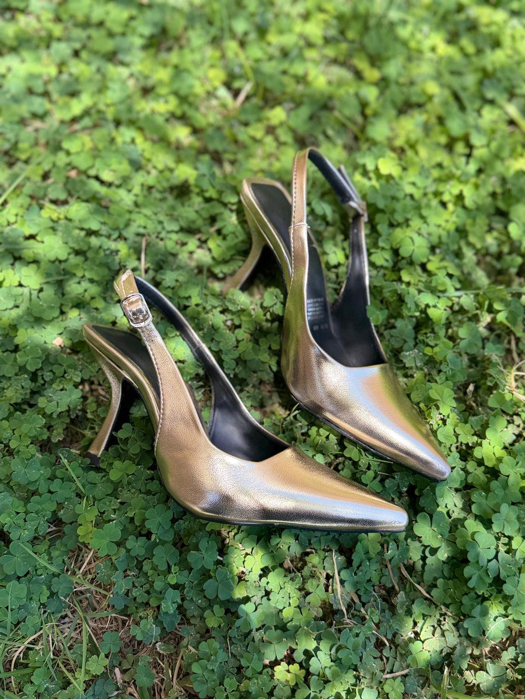 Zapatilla picuda 09 oro