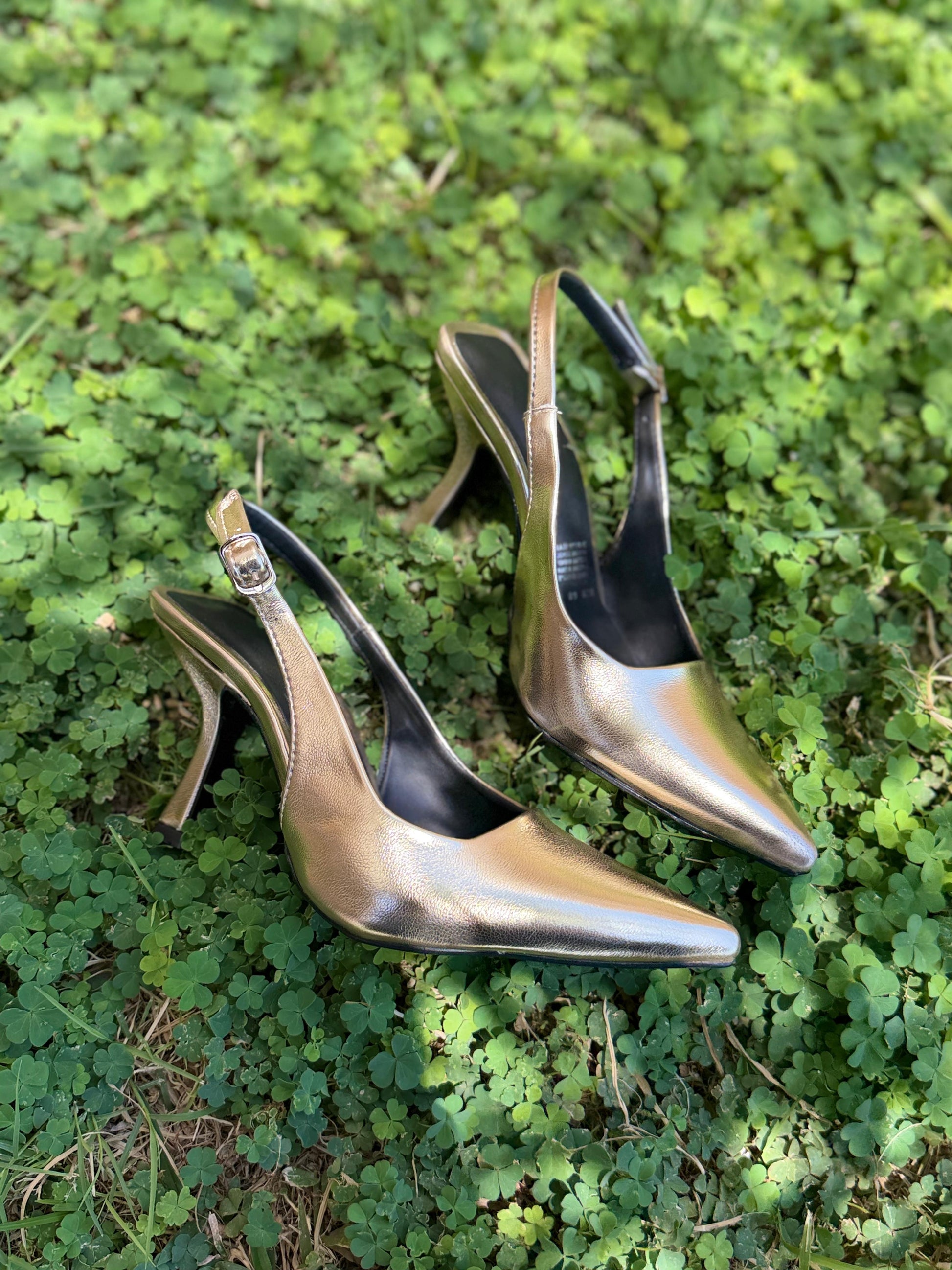 Zapatilla picuda 09 oro